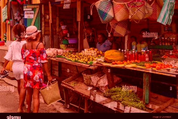 Escorts Ambodifotatra, Madagascar — Local Companions
