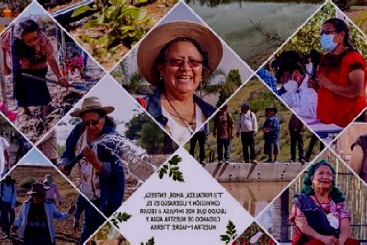 Escorts Ameluca, Mexico — Local Companions