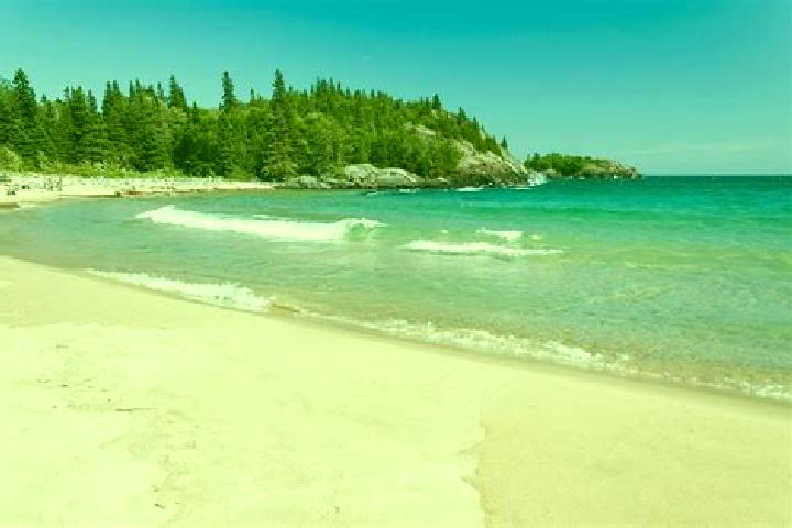 Escorts Amigo Beach, Canada — Local Companions