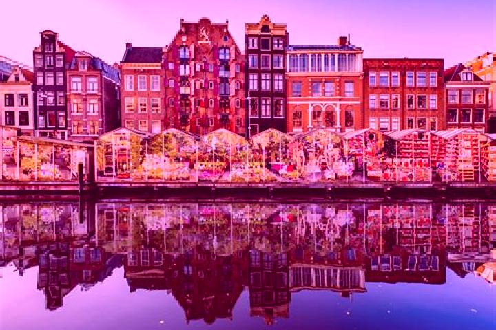 Escorts Ammerzoden, Netherlands — Local Companions