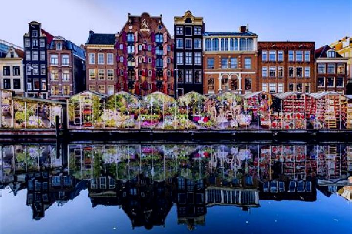 Escorts Amstelveen, Netherlands — Local Companions