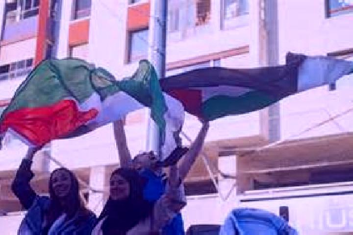 Escorts An Nuway imah, Palestine — Local Companions