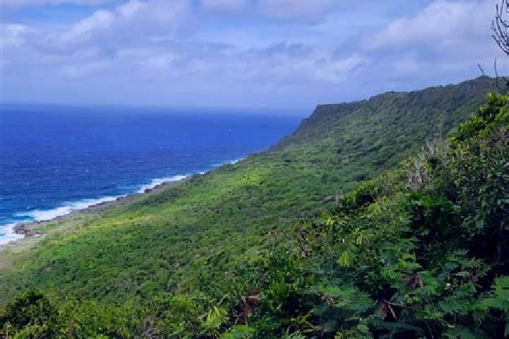 Escorts Anao, Guam — Local Companions