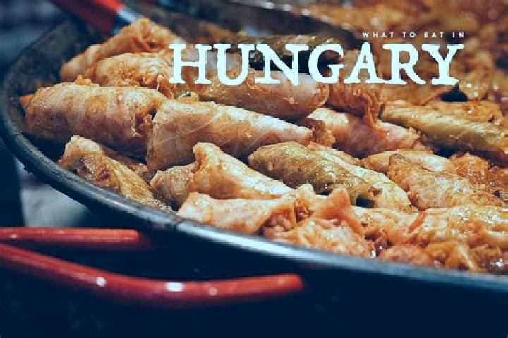 Escorts Andornaktalya, Hungary — Local Companions