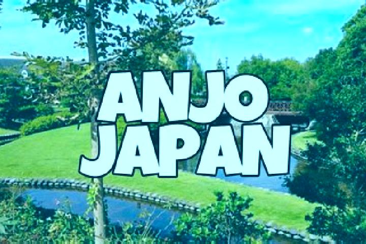Escorts Anjo, Japan — Local Companions
