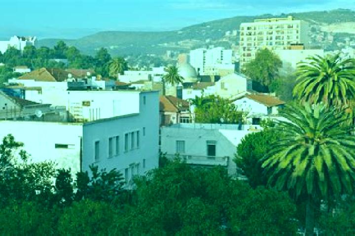 Escorts Annaba, Algeria — Local Companions