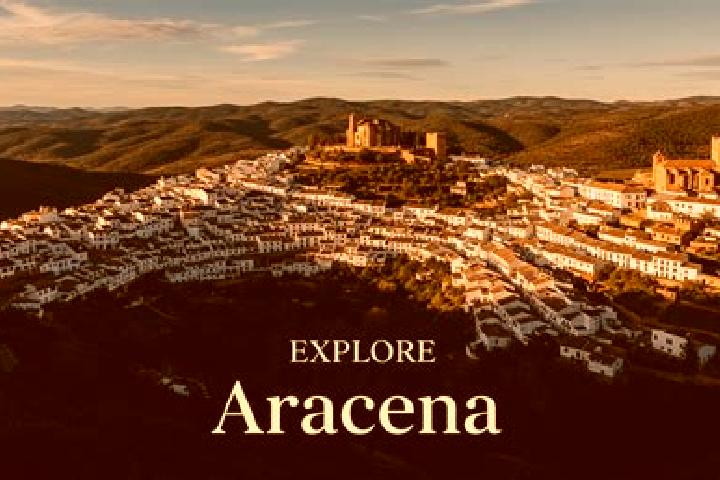 Escorts Aracena, Spain — Local Companions