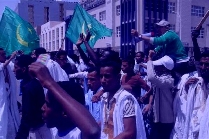 Escorts Arafat, Mauritania — Local Companions