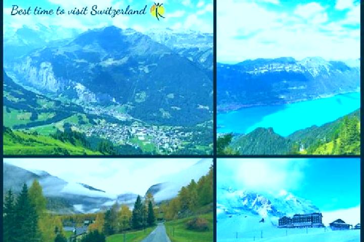 Escorts Arbon, Switzerland — Local Companions