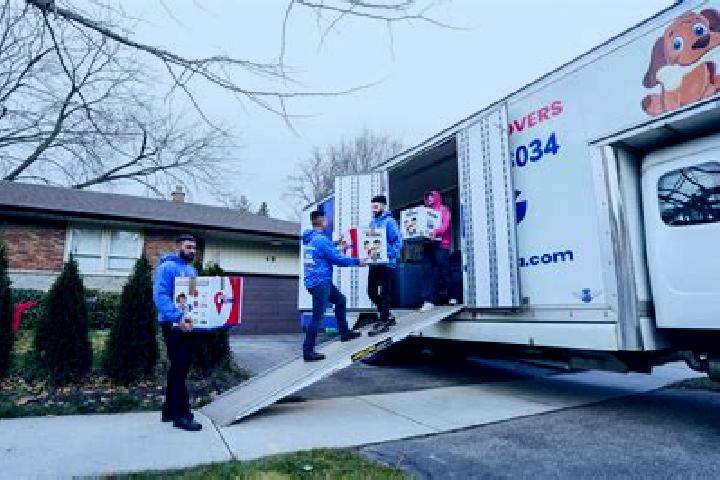 Escorts Arcola East, Canada — Local Companions