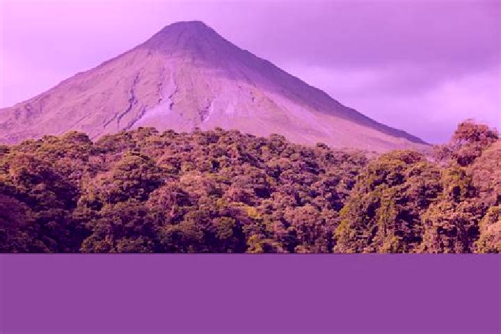 Escorts Arenal de Gomez (Primer Arenal), Mexico — Local Companions