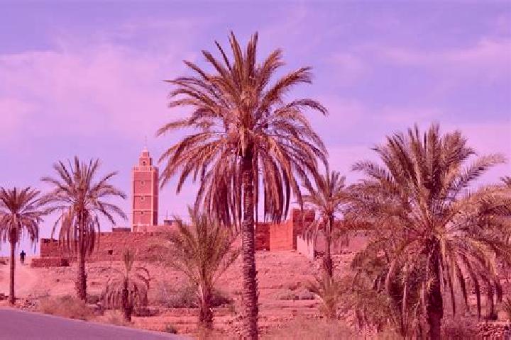Escorts Arfoud, Morocco — Local Companions