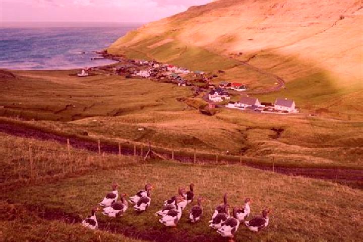 Escorts Argir, Faroe Islands — Local Companions