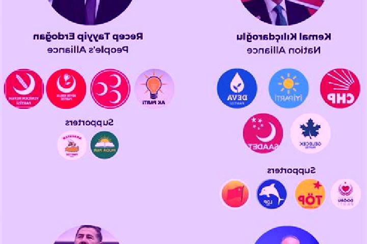 Escorts Arguvan, Turkey — Local Companions
