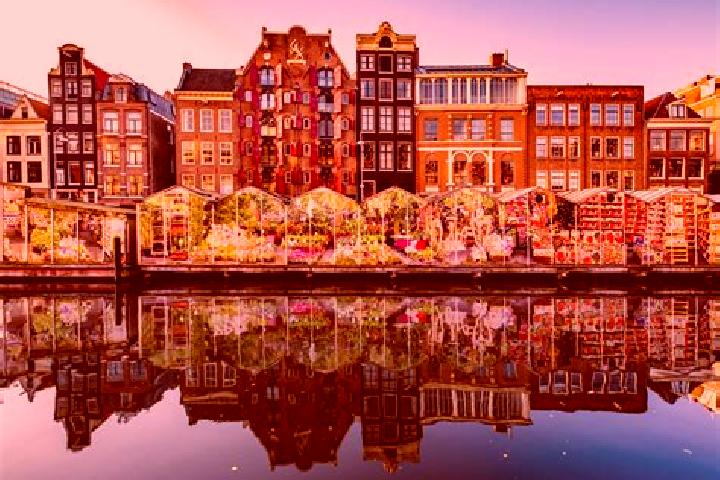 Escorts Arnhem, Netherlands — Local Companions