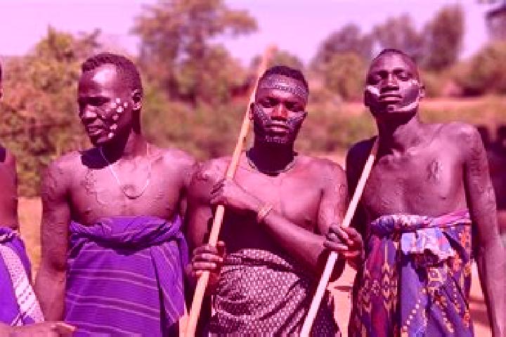 Escorts Asela, Ethiopia — Local Companions