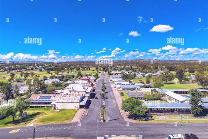 Escorts Ashford, Australia — Local Companions