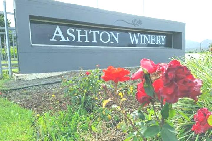 Escorts Ashton, South Africa — Local Companions