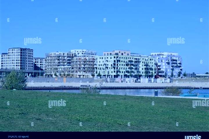 Escorts Aspern, Austria — Local Companions