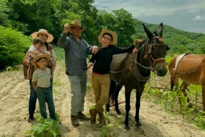 Escorts Atapan, Mexico — Local Companions