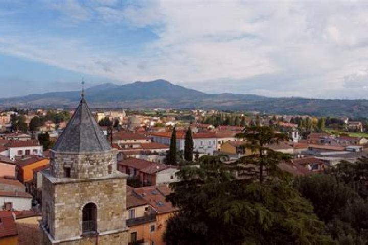 Escorts Atella, Italy — Local Companions