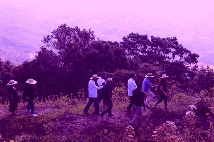 Escorts Atlamajalcingo del Monte, Mexico — Local Companions