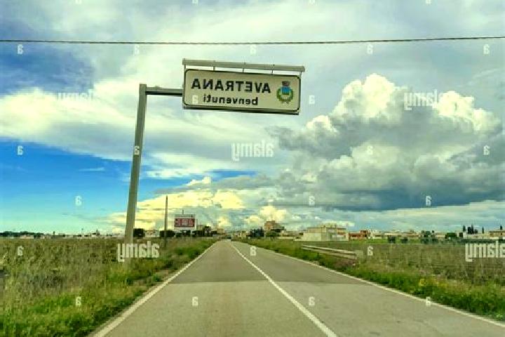 Escorts Avetrana, Italy — Local Companions