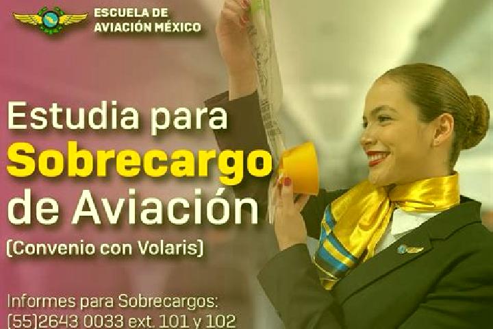 Escorts Aviacion, Mexico — Local Companions