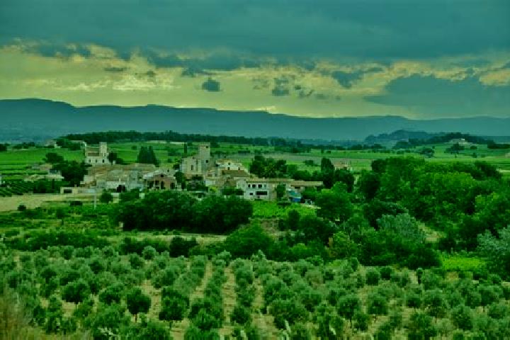 Escorts Avinyonet del Penedes, Spain — Local Companions