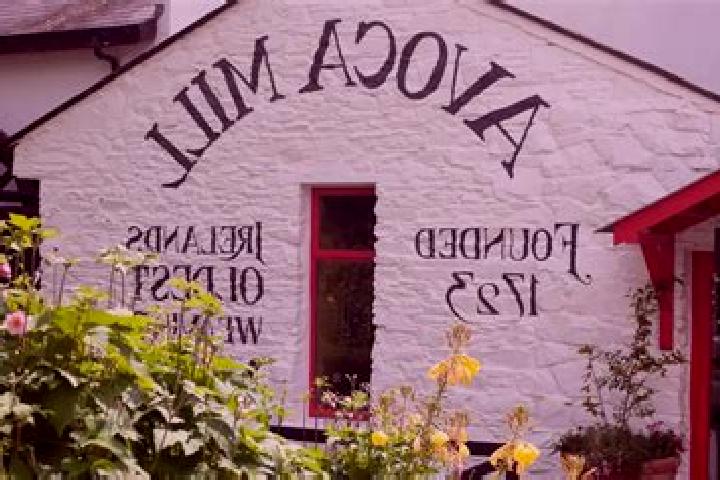Escorts Avoca, Ireland — Local Companions
