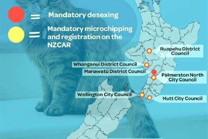 Escorts Awapuni, New Zealand — Local Companions