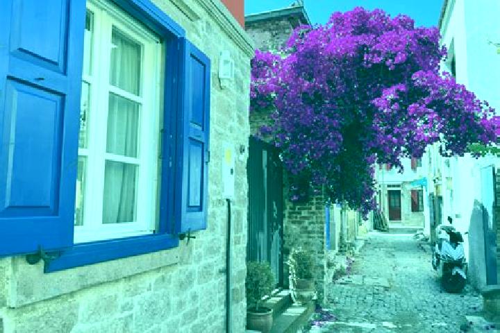 Escorts Ayvalik, Turkey — Local Companions