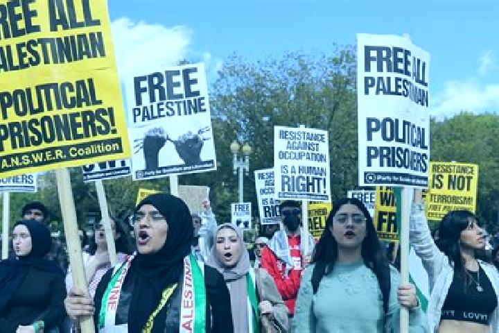 Escorts Az Zababidah, Palestine — Local Companions
