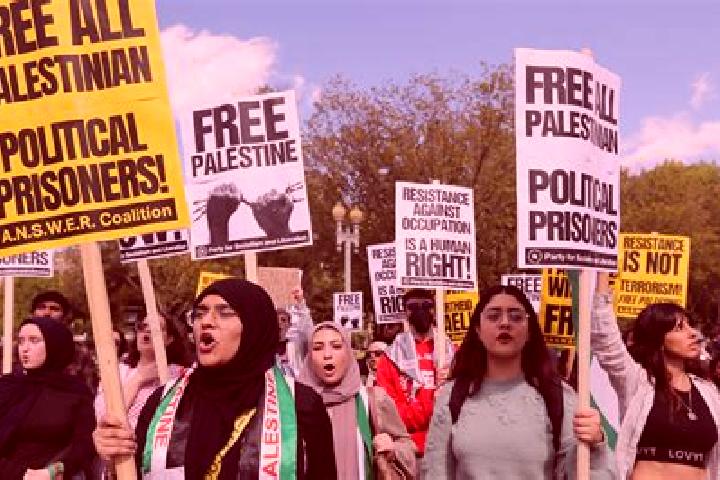 Escorts Az Zaytuniyah, Palestine — Local Companions