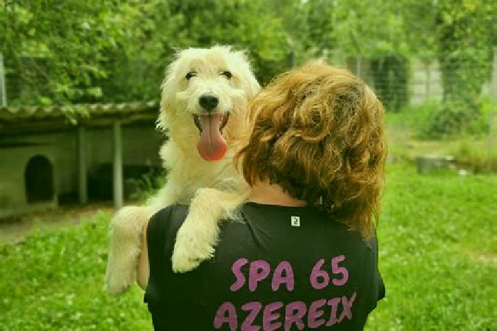 Escorts Azereix, France — Local Companions