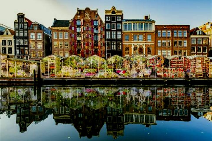 Escorts Baak, Netherlands — Local Companions