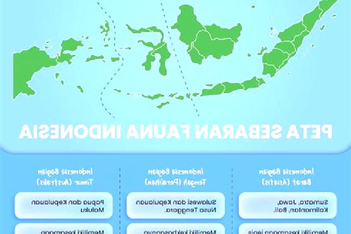 Escorts Baban Tengah, Indonesia — Local Companions