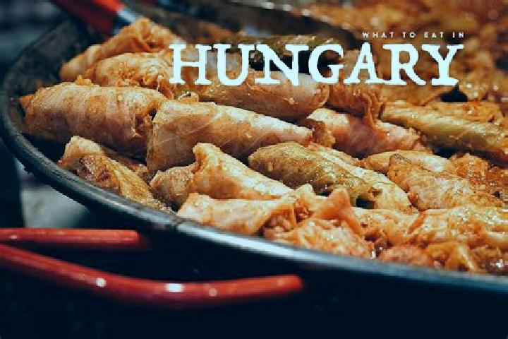 Escorts Babocsa, Hungary — Local Companions