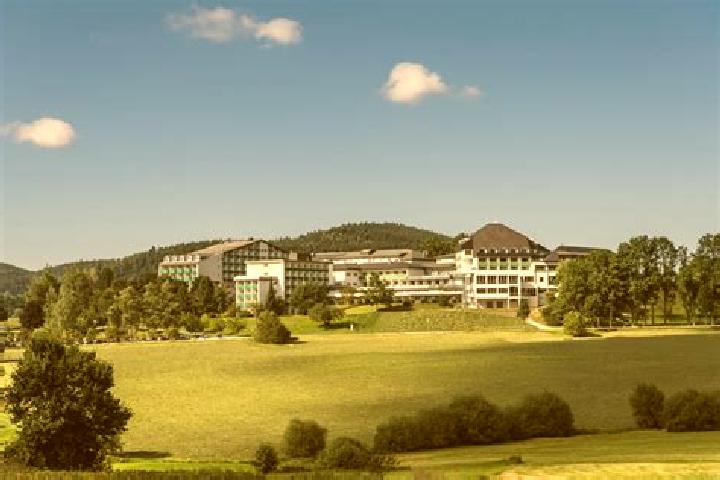 Escorts Bad Eisenkappel, Austria — Local Companions