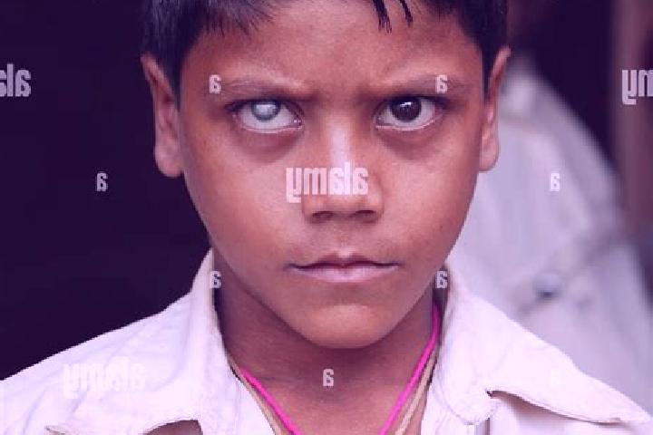 Escorts Badamba, India — Local Companions