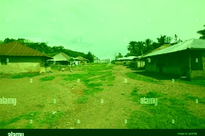 Escorts Baiima, Sierra Leone — Local Companions