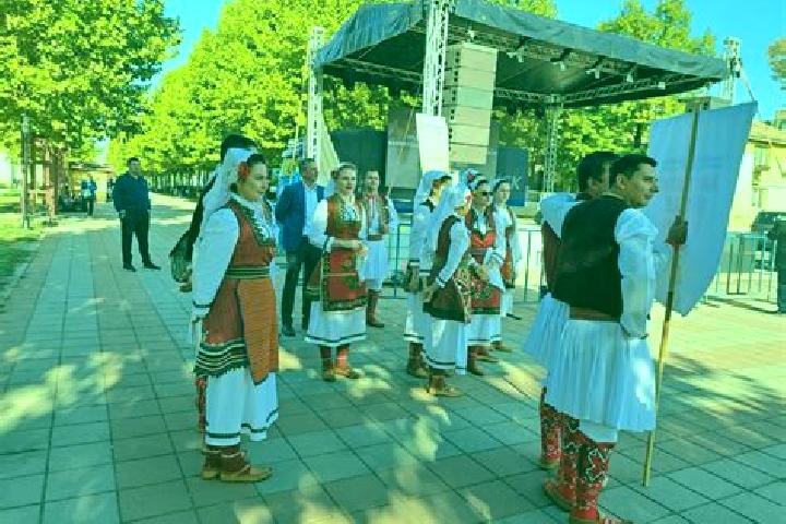 Escorts Bailesti, Romania — Local Companions