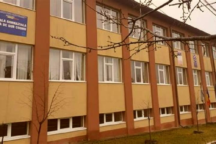 Escorts Baita de sub Codru, Romania — Local Companions