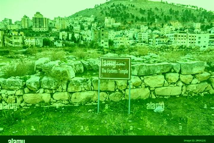 Escorts Balatah, Palestine — Local Companions