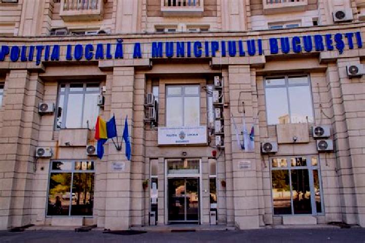 Escorts Balc, Romania — Local Companions