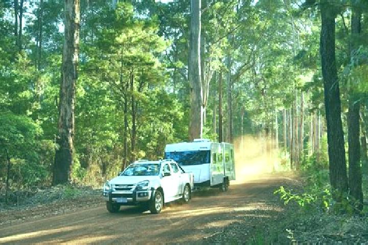 Escorts Balingup, Australia — Local Companions