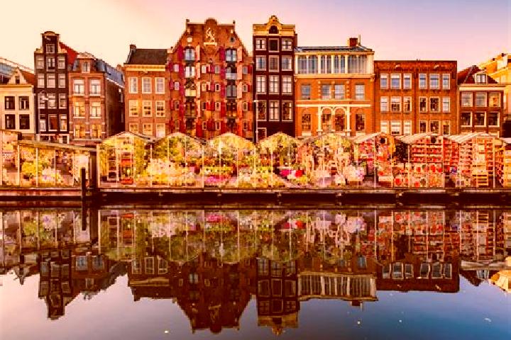 Escorts Ballast, Netherlands — Local Companions