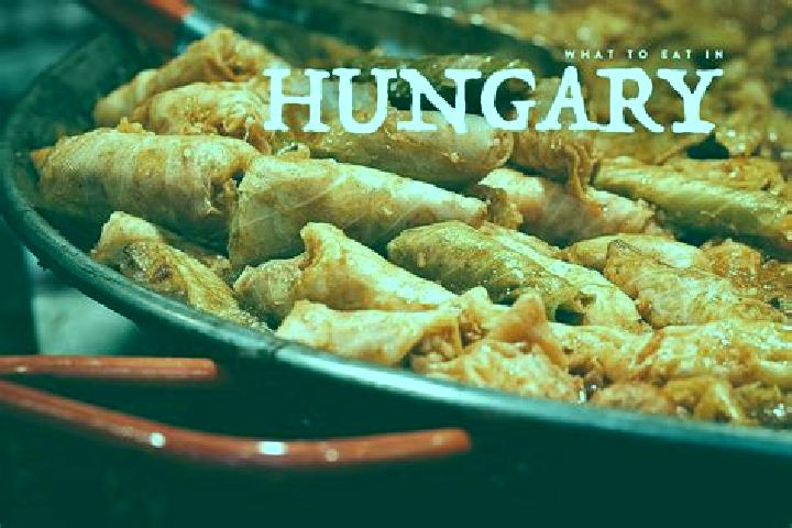 Escorts Balmazujvaros, Hungary — Local Companions
