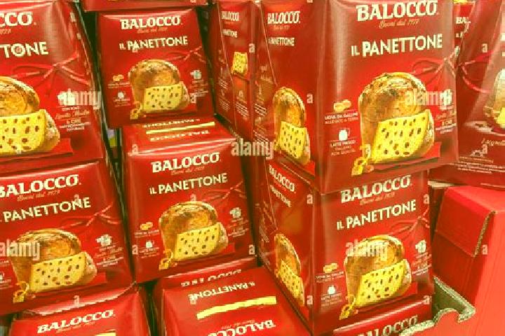 Escorts Balocco, Italy — Local Companions