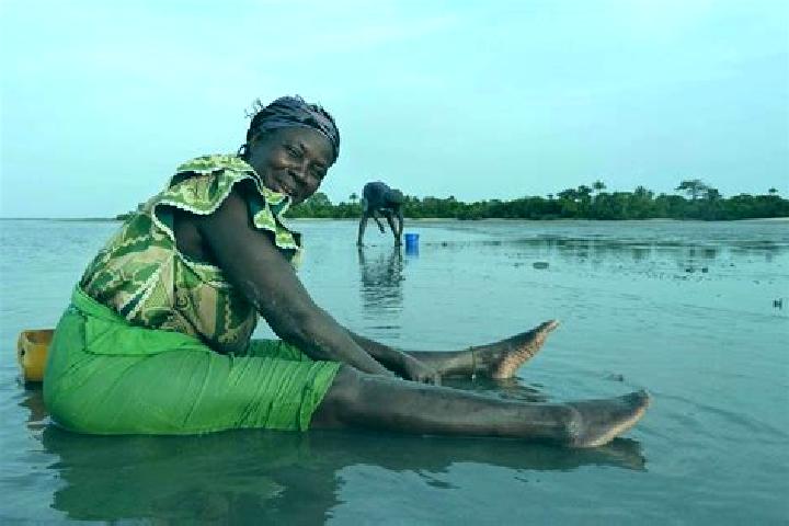 Escorts Bambali, Gambia — Local Companions